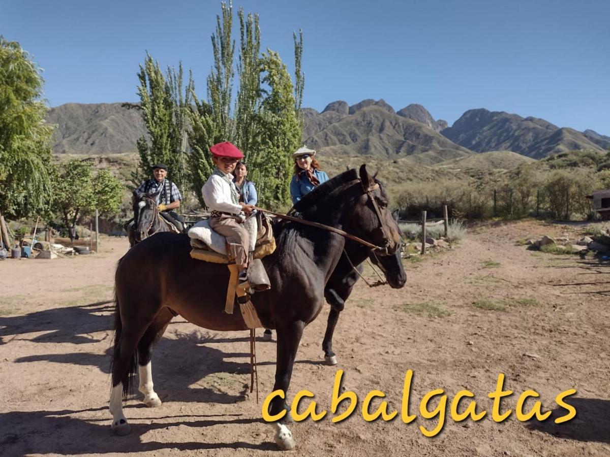 Cabana Pica Piedra Мендоса Екстер'єр фото